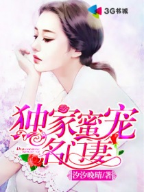 �����۳�������