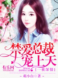 һҹ���飺�����ܲó�����