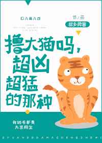 ߣ��è��,���׳��͵�����!