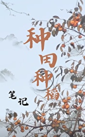 �����ֵ��ʼ�