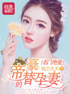 ���ž������ۺ���������