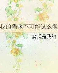 è������/�ҵ�è�䲻������ô��